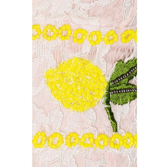 X by NBD Kelsey Embroidered Dress - Picture 4 of 7